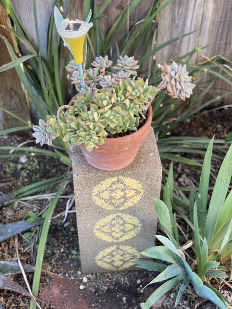 Displaying the new painted cinder blocks in the yard. 