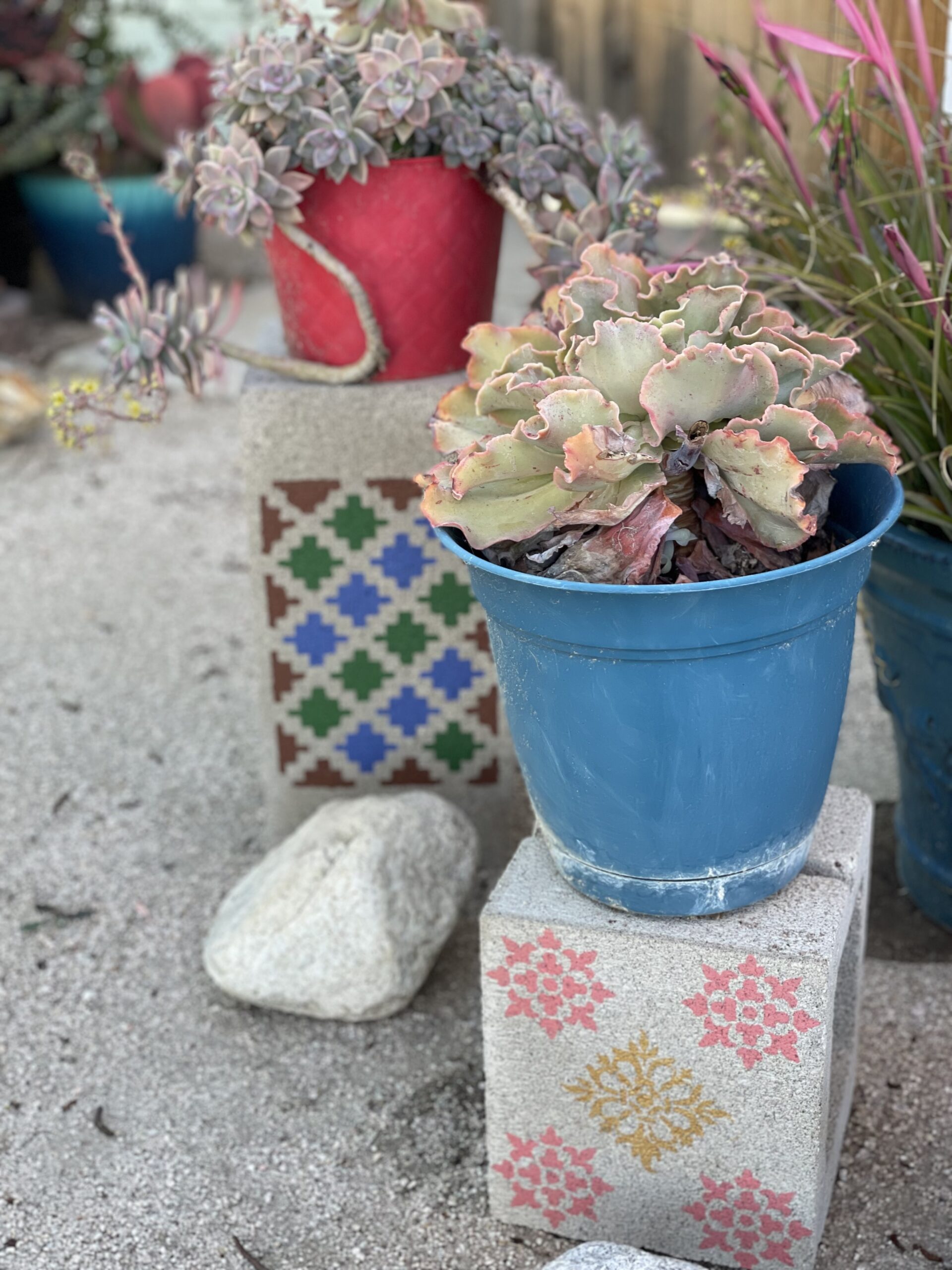 Displaying the new painted cinder blocks in the yard. 