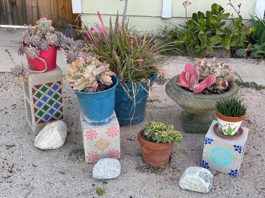 Displaying the new painted cinder blocks in the yard. 