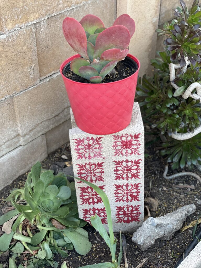 Displaying the new painted cinder blocks in the yard. 