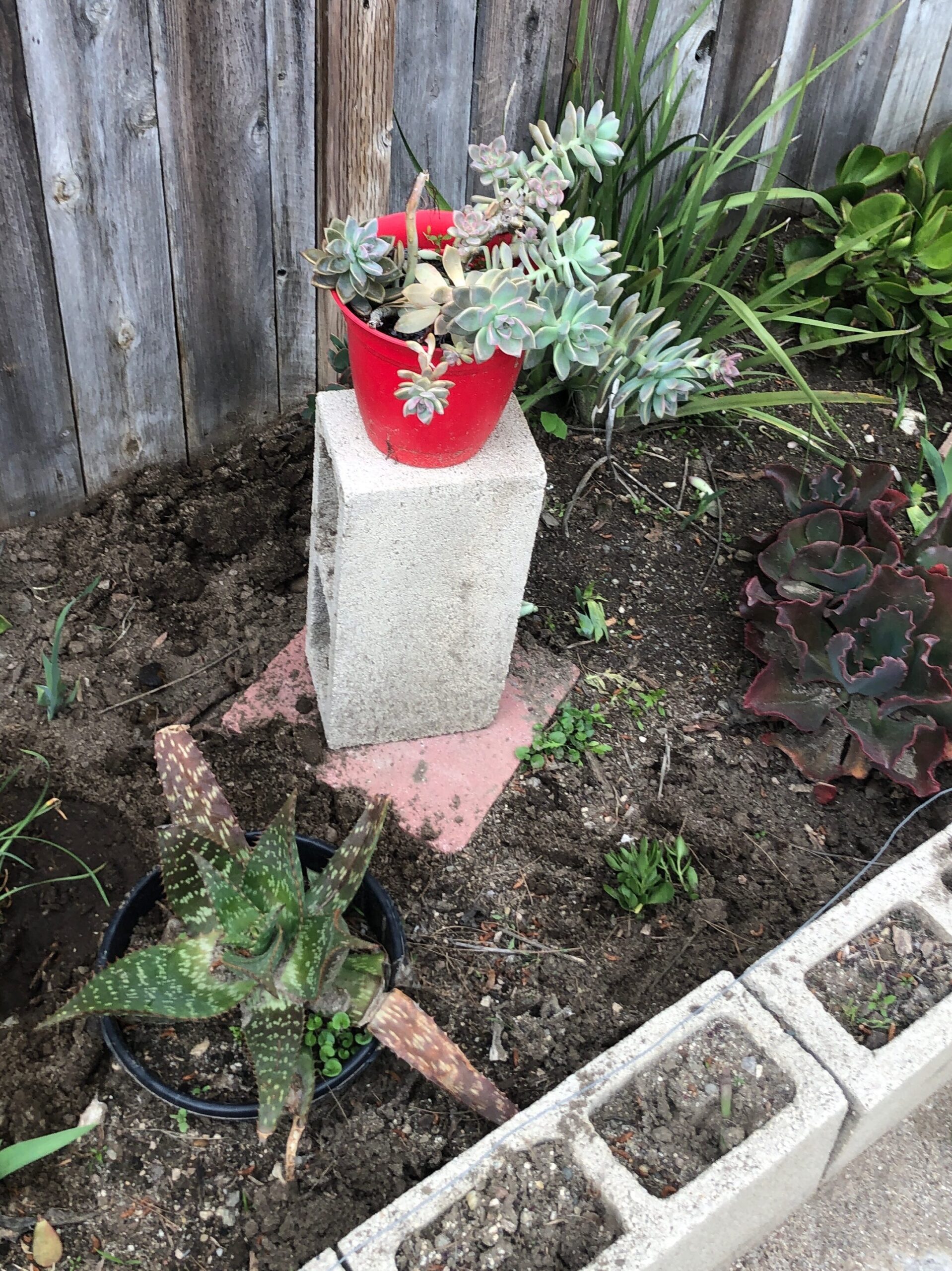 Cinder block used to raise a colorful pot.