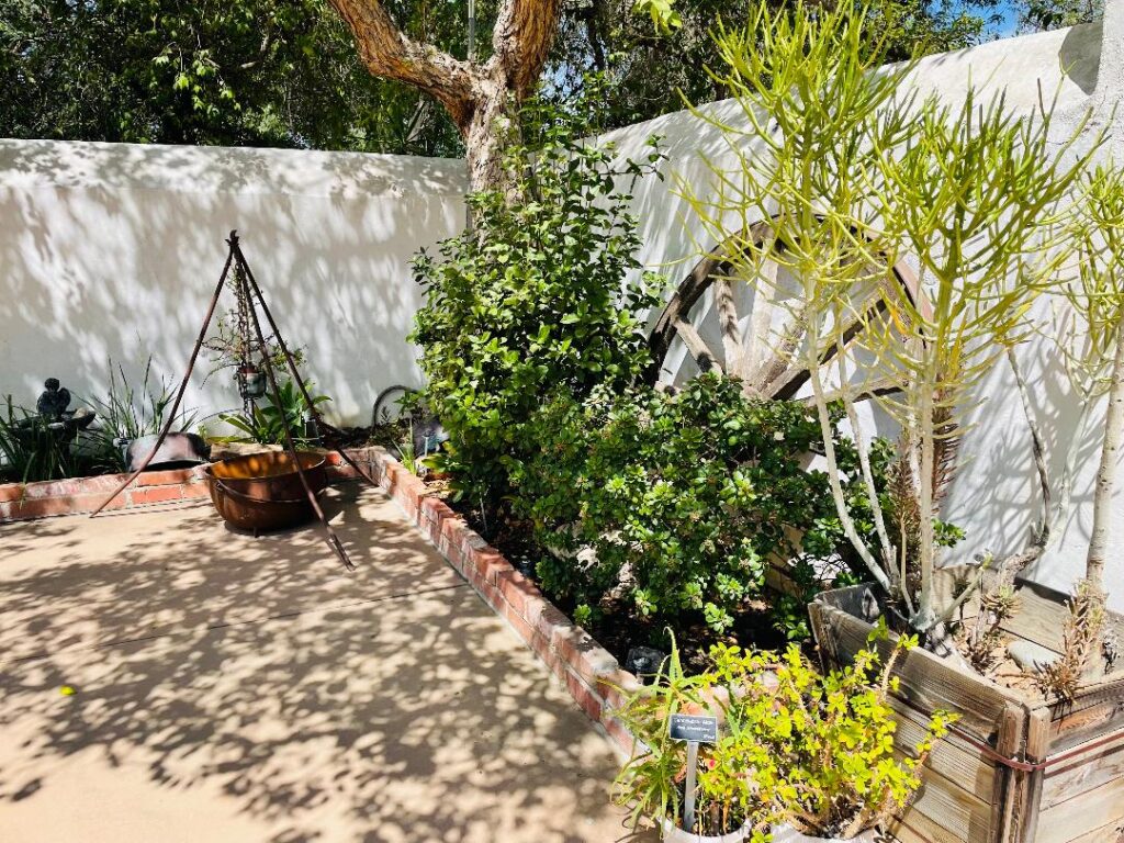 Pico Adobe courtyard