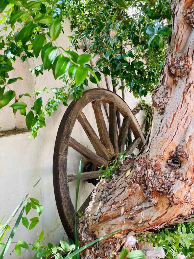 Pico Adobe courtyard