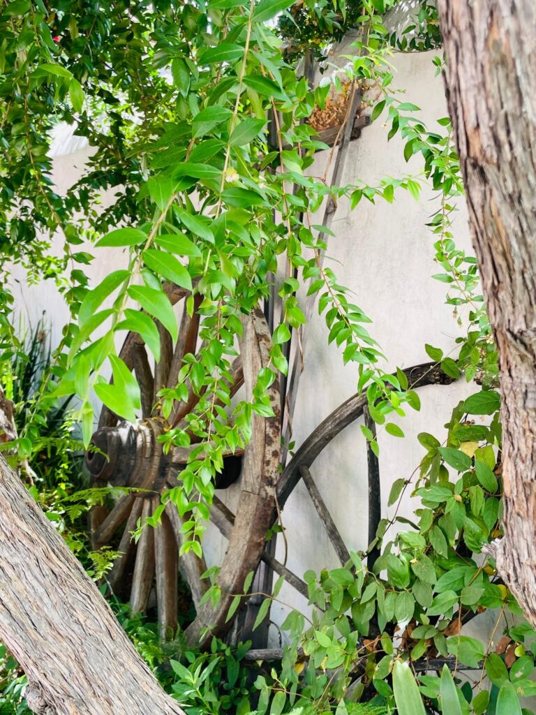 Pico Adobe courtyard