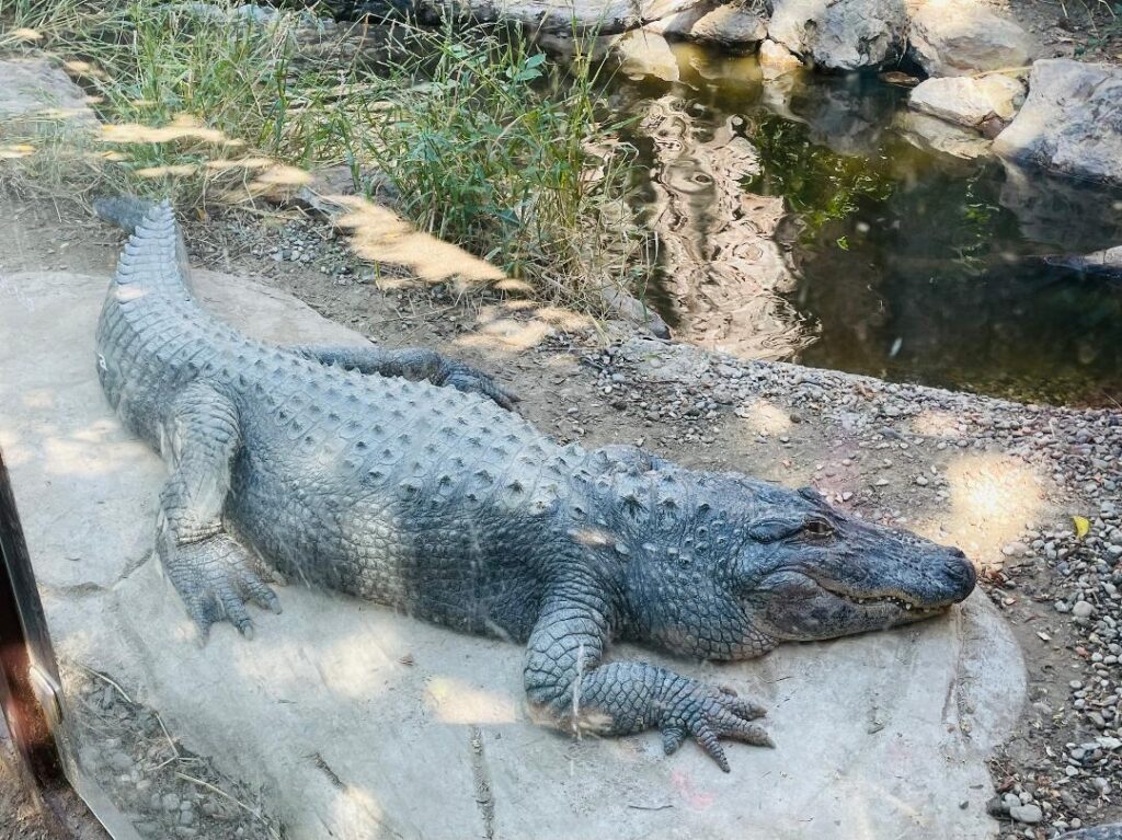 Wildlife Learning Center