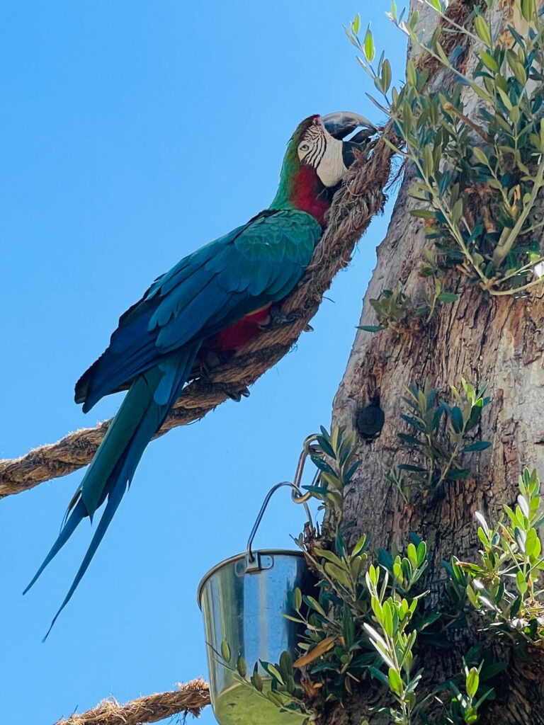 Wildlife Learning Center