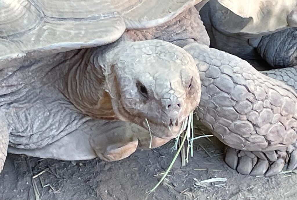 Wildlife Learning Center