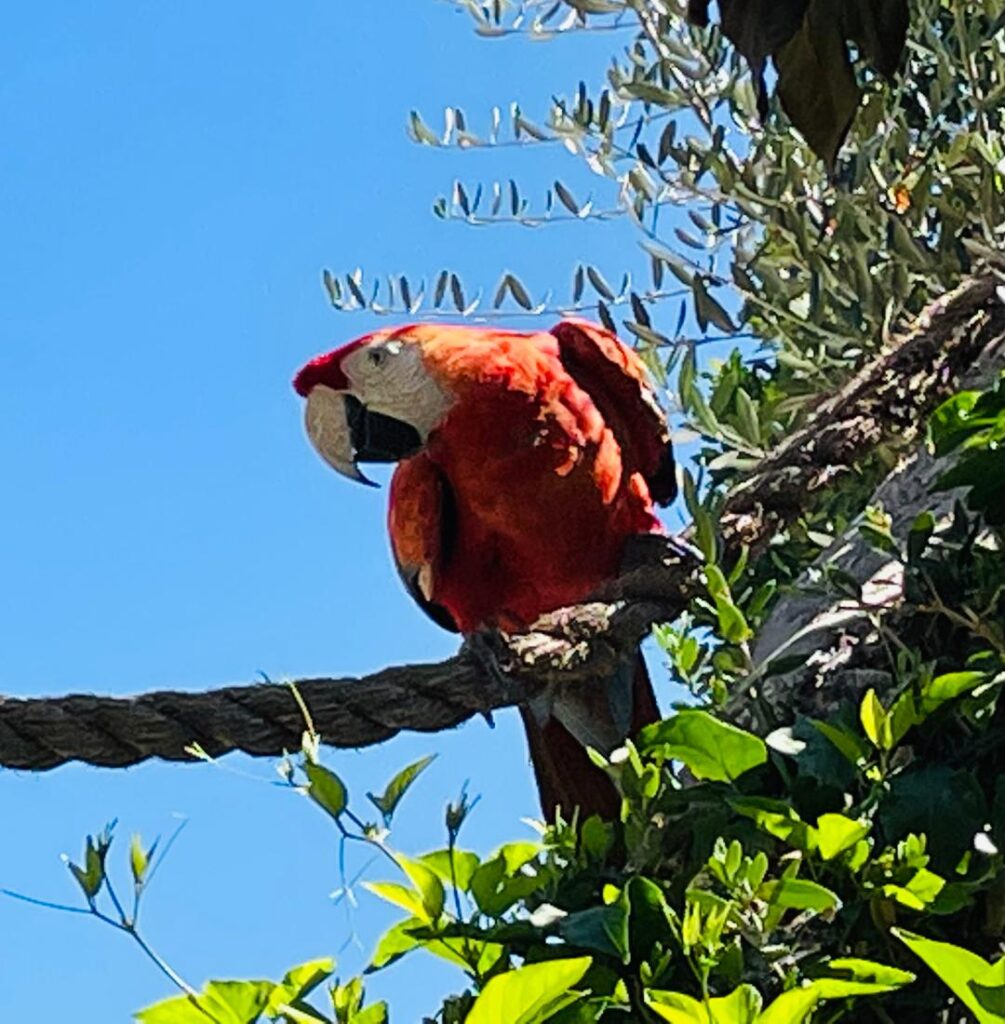 Wildlife Learning Center