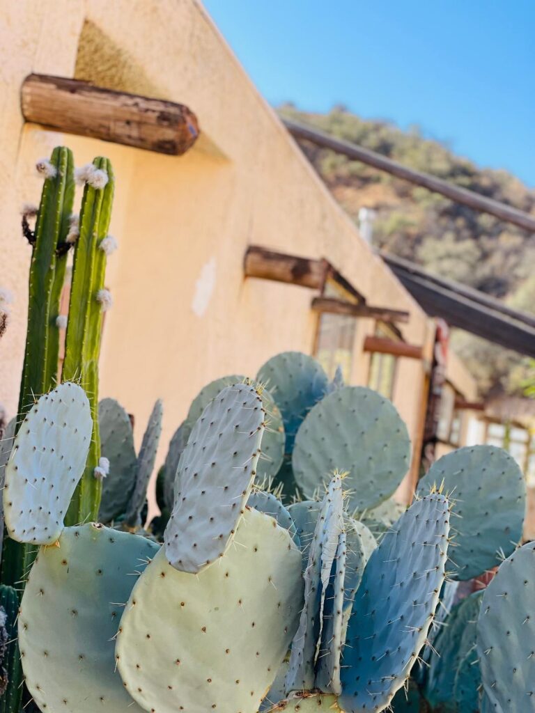 Callahan’s Old West Trading Post