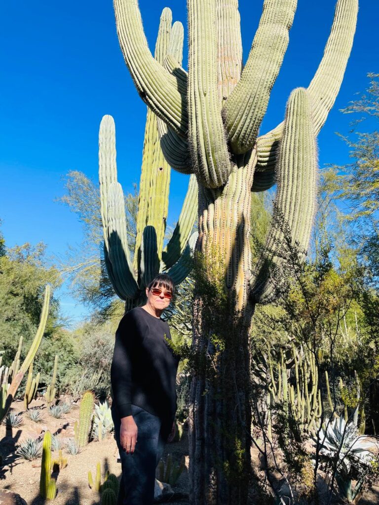 Desert Botanical Gardens